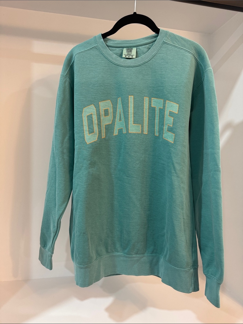 Comfort Colors Light Aqua Crewneck Sweatshirt